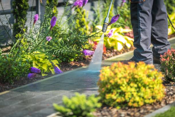 Best Sidewalk and Walkway Pressure Cleaning in South Hill, VA